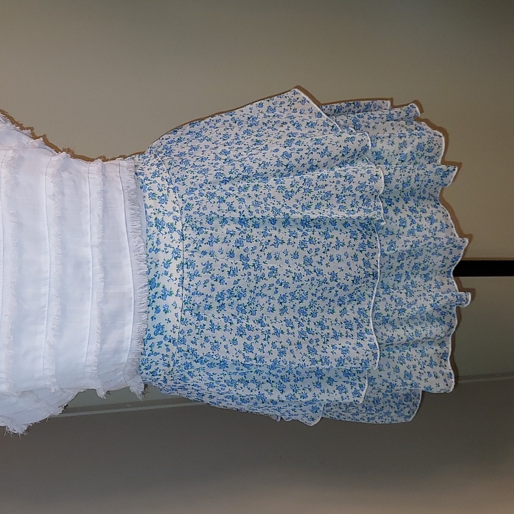 Altar'd State Cream and Blue Floral Dress
